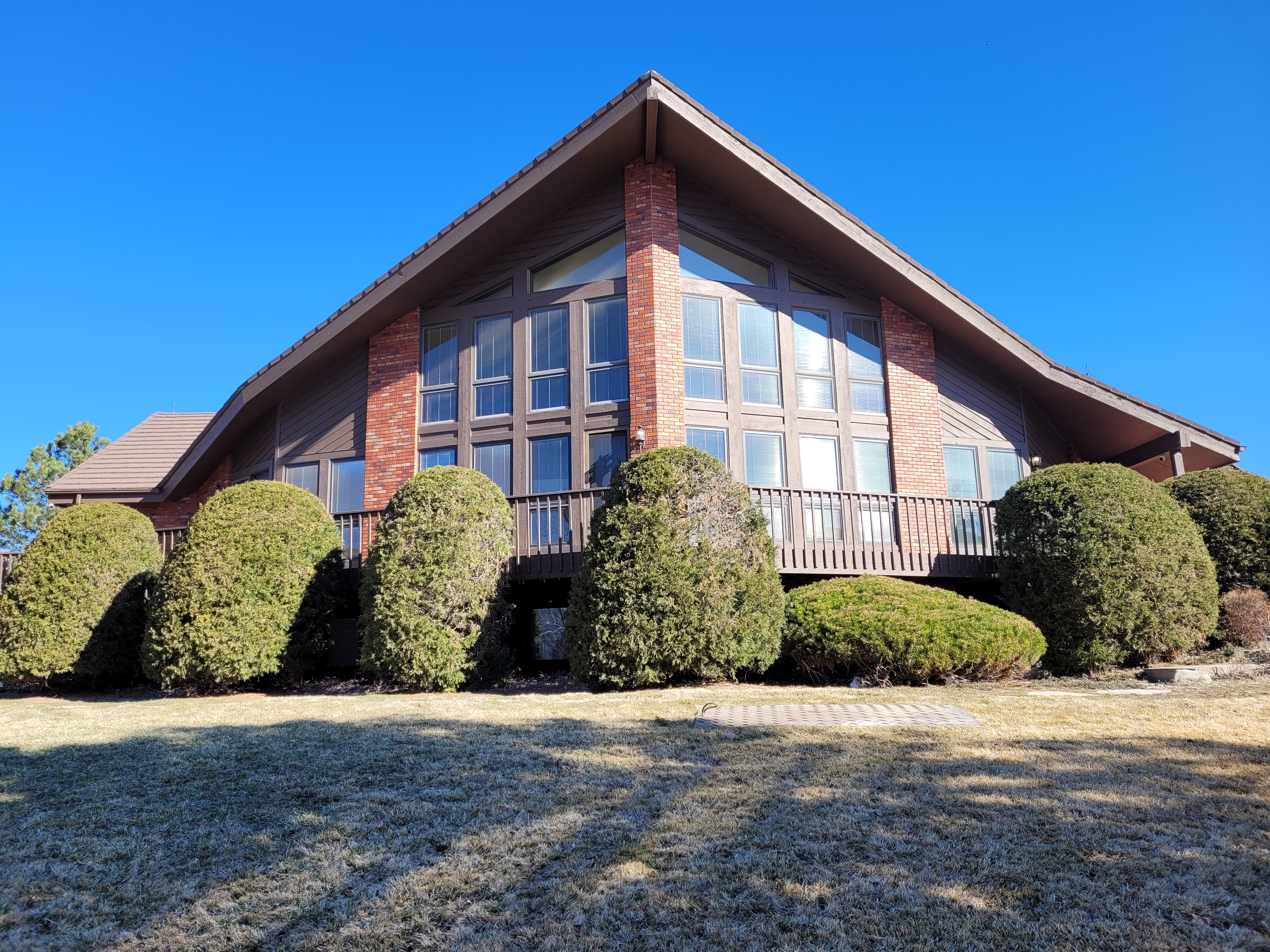 Before - Yard Cleanup & Tree Trimming